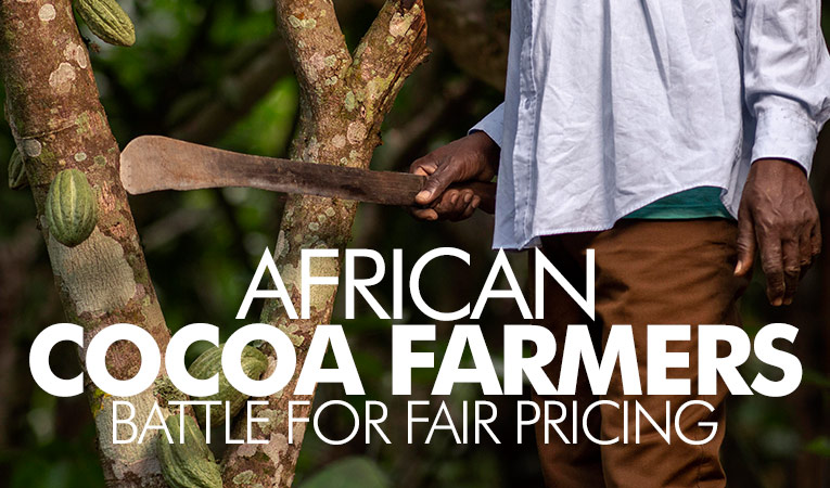 African Cocoa Farmers Struggle Despite Record High Prices