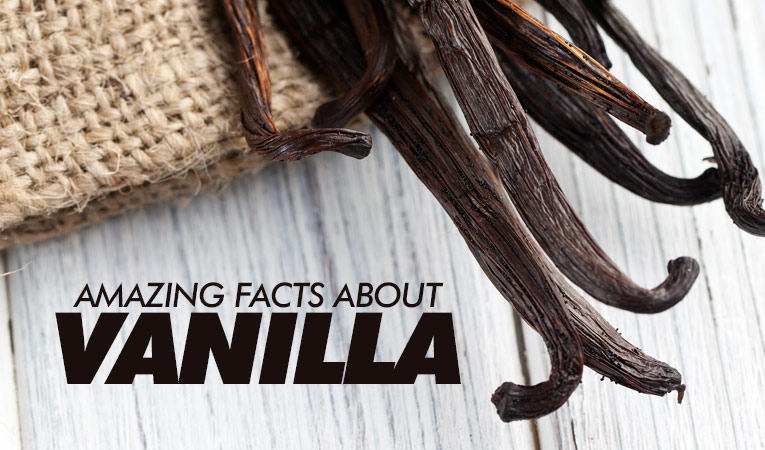 Where does vanilla flavoring come from