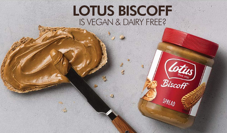 Yes, Lotus Biscoff is Vegan & Dairy Free