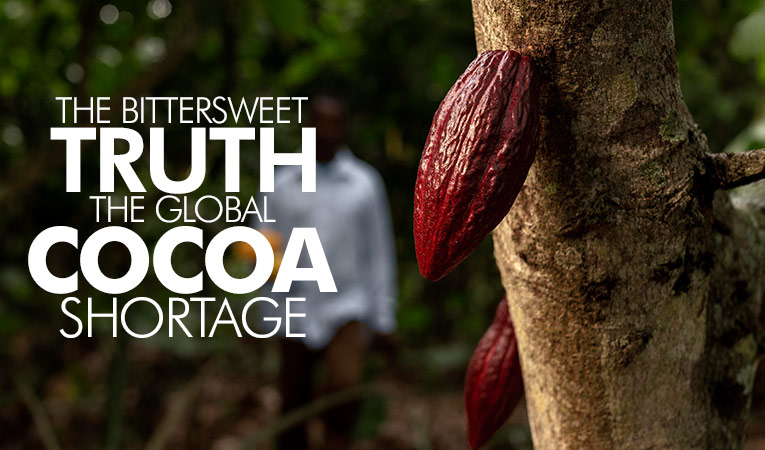 The Bittersweet Truth: Navigating the Global Cocoa Shortage and Rising Chocolate Prices
