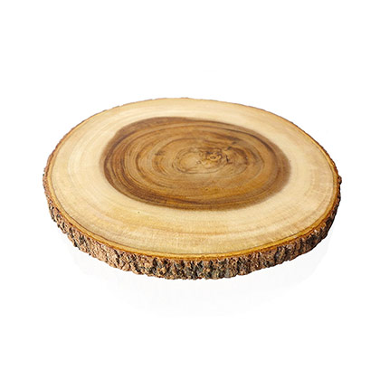 10 inch Wooden Bark Platter