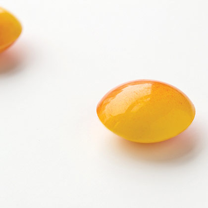 Chocolate Mould Lens - CW1847