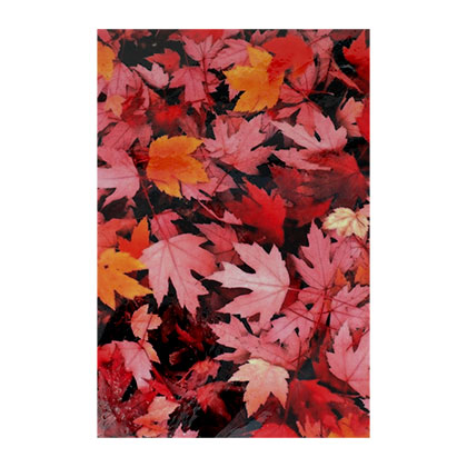 Maple Leaves A4 Wafer Paper Sheet
