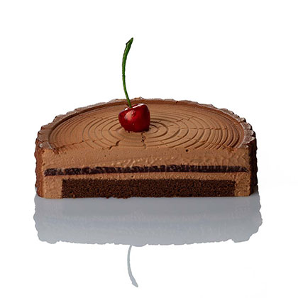 Foresta KE100S Cake Mould - Pavoni