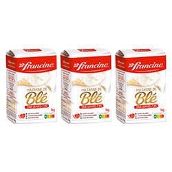 Francine French Baking Flour Pack of 3