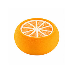 The Slice of Citrus 100